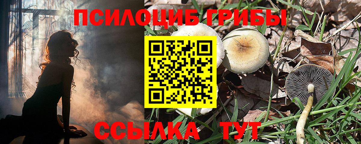 Псилоцибиновые грибы мухоморы  Псилоцибиновые грибы MAGIC MUSHROOMS  Вход с VPN  цена наркотик  Киров 